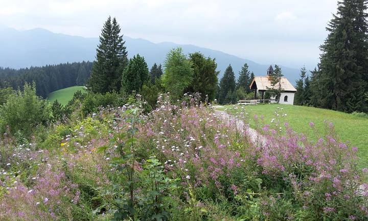 Berggasthof Neureuth Tegernsee